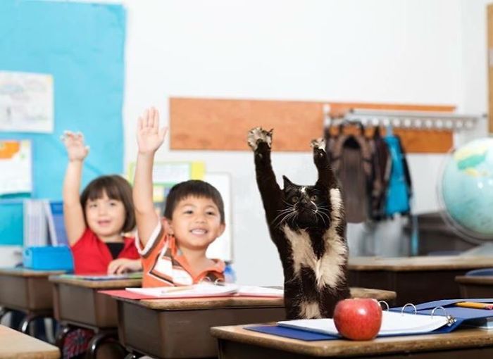 Me, Me, Please Ask Me!!!