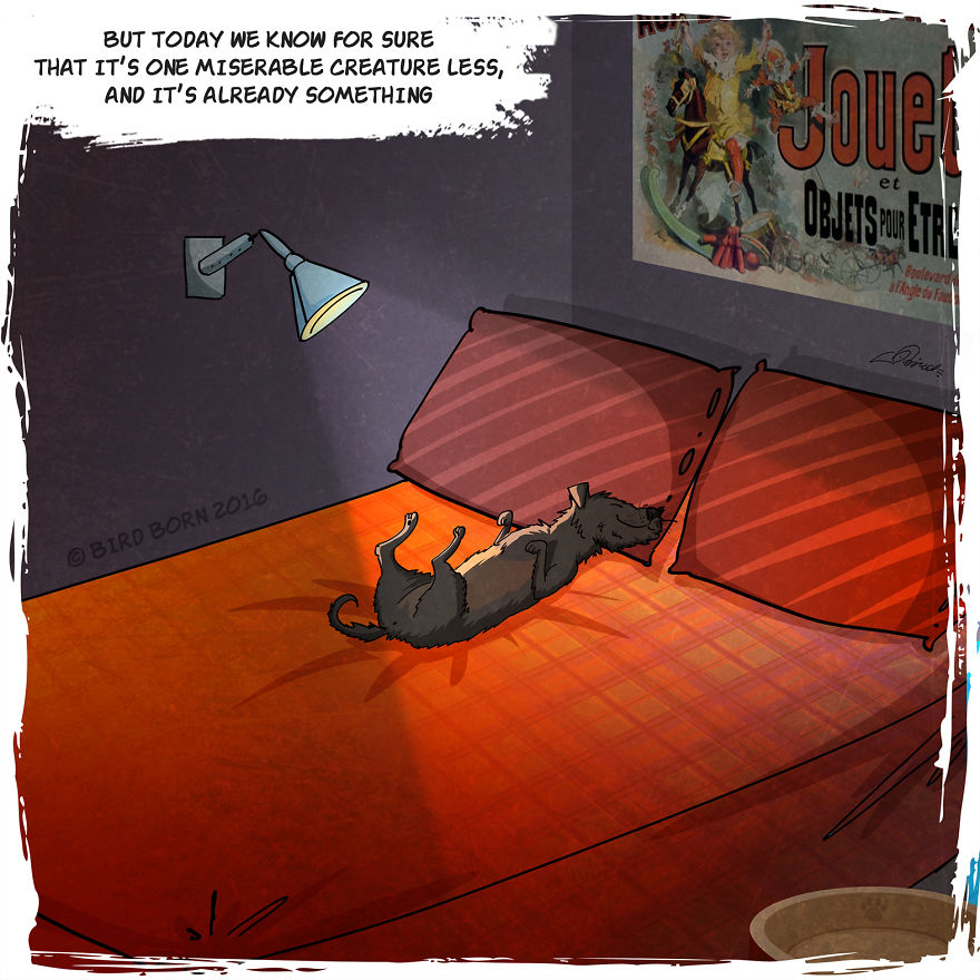 We&rsquo;ve Taken A Dog From An Animal Shelter (Personal Experience)