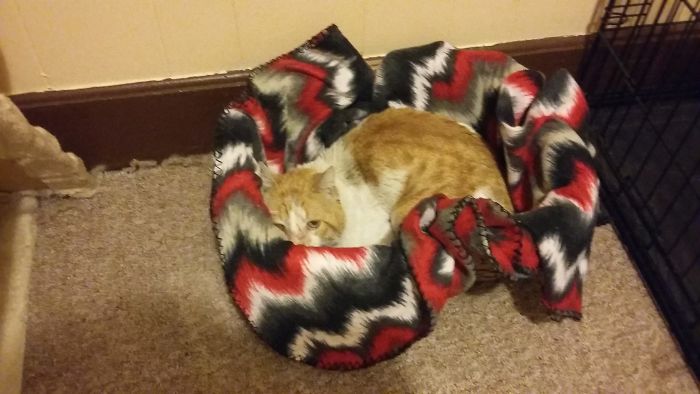 The Story Of Wesley The Story Of Wesley