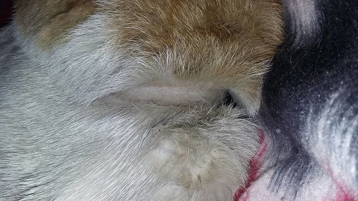 The Story Of Wesley The Story Of Wesley