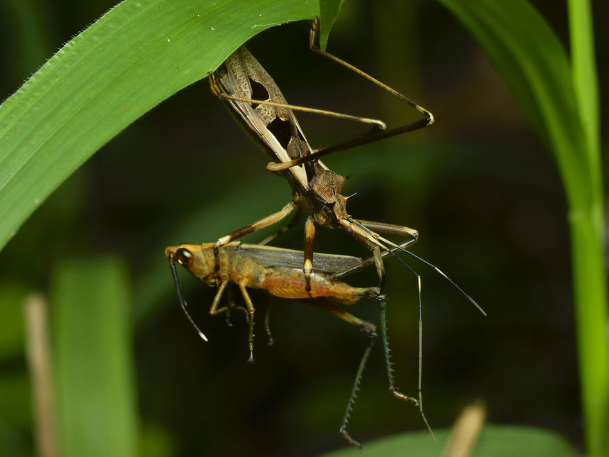7+ Photos That Only Animal Photographers Are Crazy 7+ Photos That Only Animal Photographers Are Crazy