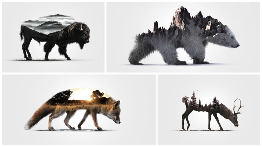 I Merged Animals With Their Own Environments Into One Crazy Simple Picture I Merged Animals With Their Own Environments Into One Crazy Simple Picture