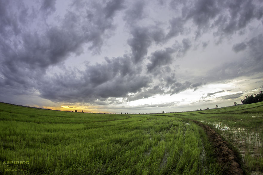 Agriculture Is The Ancient Culture Of Cambodia