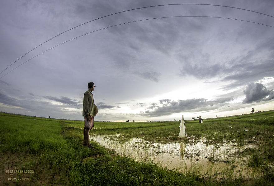 Agriculture Is The Ancient Culture Of Cambodia Agriculture Is The Ancient Culture Of Cambodia