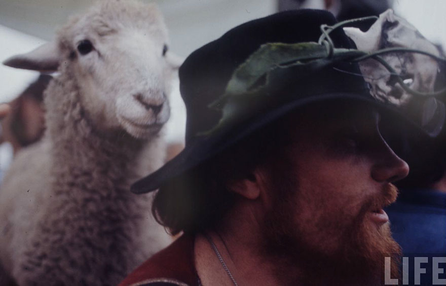 The Woodstock Music And Art Fair