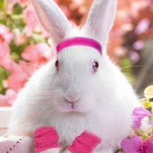 carica_aleksandrica avatar