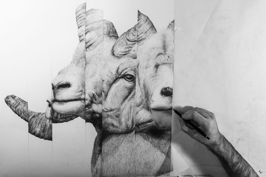 I Drew Some Distorted Animal Portraits