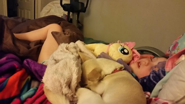 Napping With The Dog