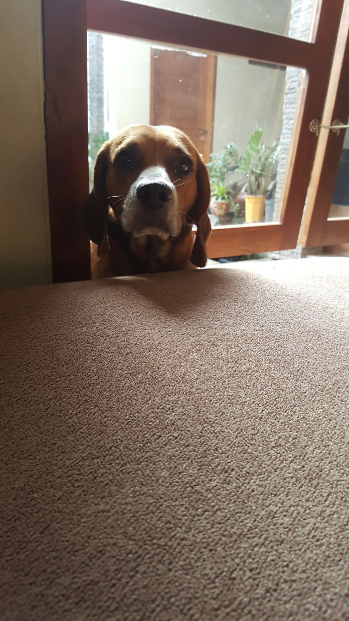 Hi...can I Come In...pleaseee