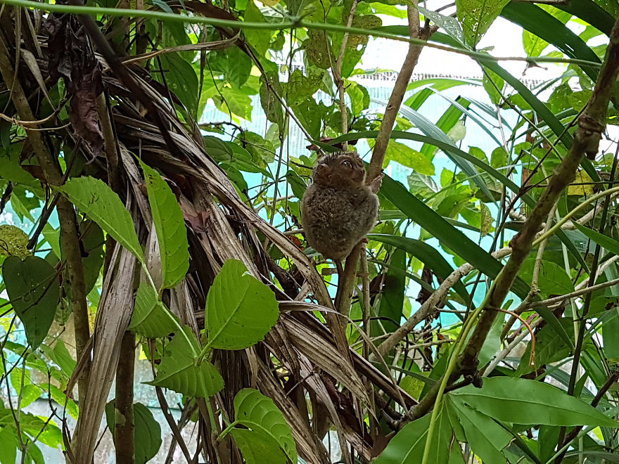 Beautiful Nature Of Philippines