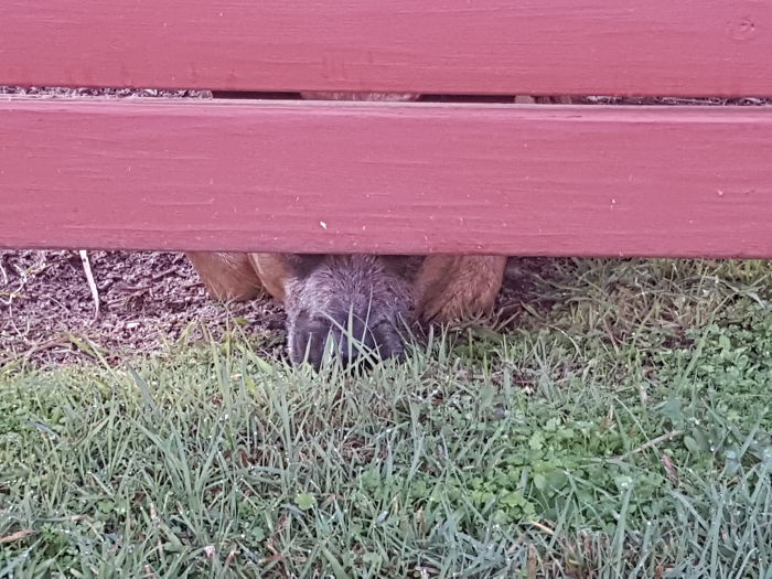 I Can See You.... But Can You See Me??