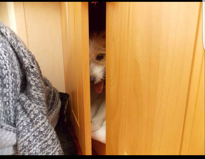 I'm Saying Hello From Here I'm Comfy