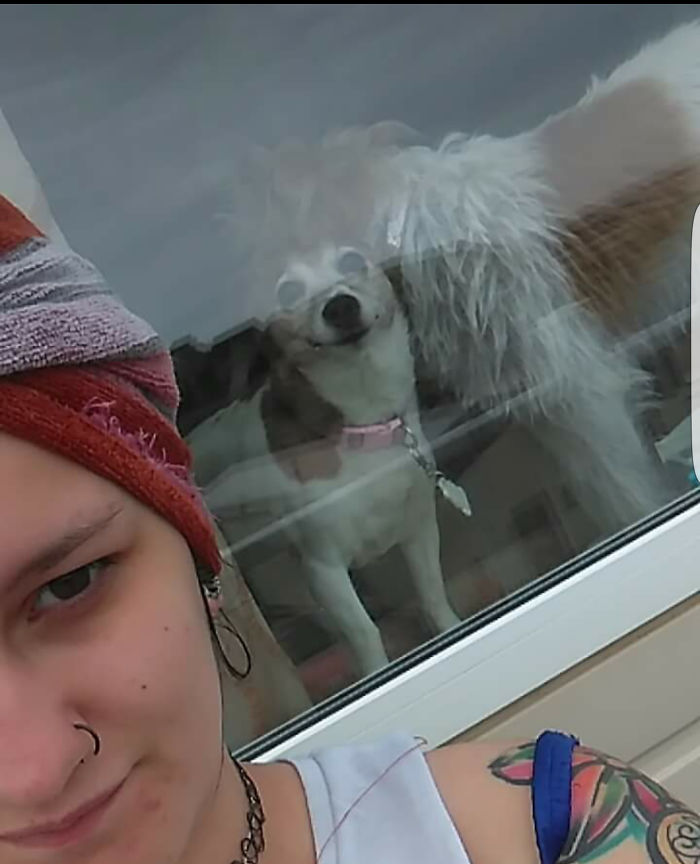 I M Happy To See You Can I Come Out