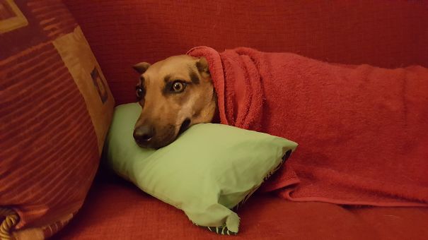 Nina Sleeps As A Human Being