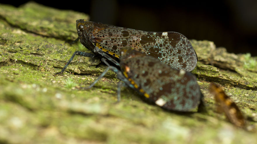 7+ Photos That Only Animal Photographers Are Crazy 7+ Photos That Only Animal Photographers Are Crazy