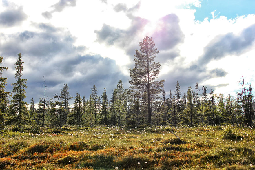 27 (Natural) Reasons Why You Shouldn't Visit This Specific Part Of Sweden