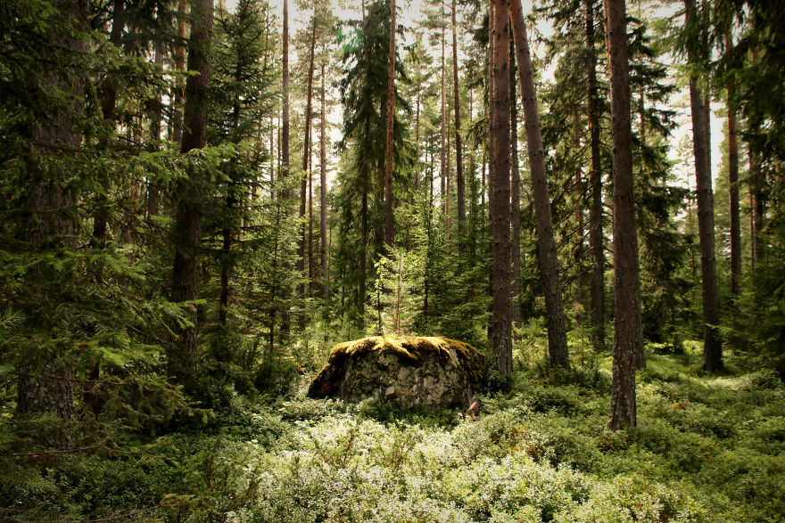 27 (Natural) Reasons Why You Shouldn't Visit This Specific Part Of Sweden