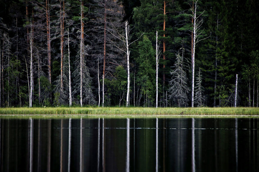 27 (Natural) Reasons Why You Shouldn't Visit This Specific Part Of Sweden