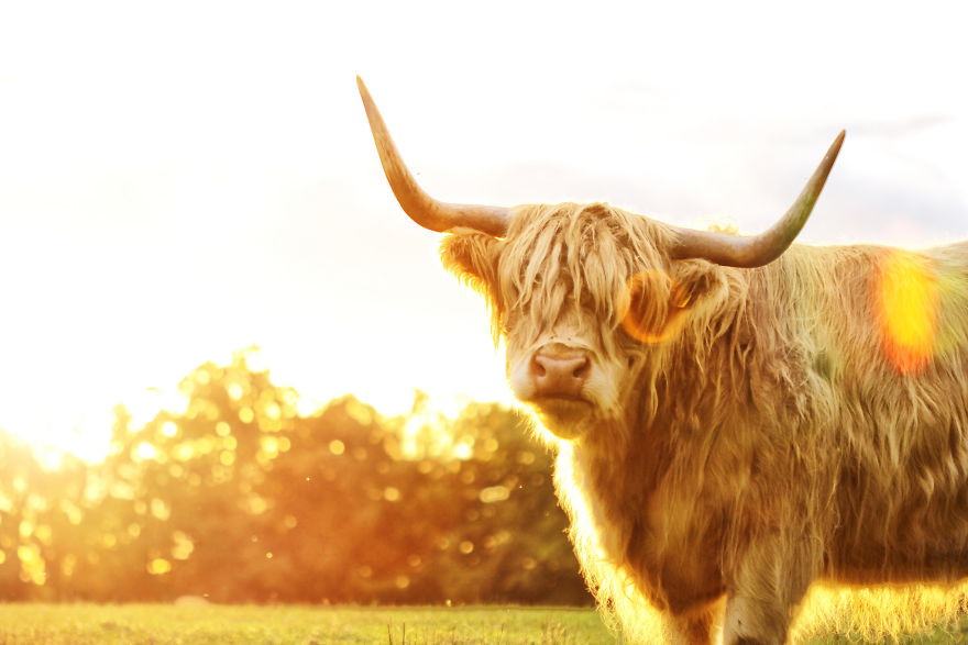 The Story Behind The Photo The Story Behind The Photo