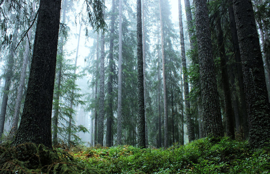 27 (Natural) Reasons Why You Shouldn't Visit This Specific Part Of Sweden