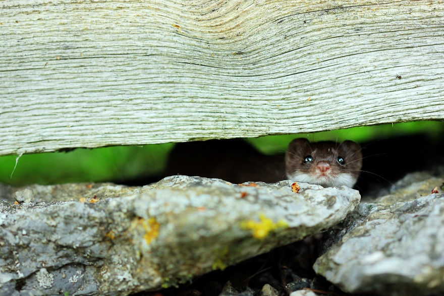 27 (Natural) Reasons Why You Shouldn't Visit This Specific Part Of Sweden