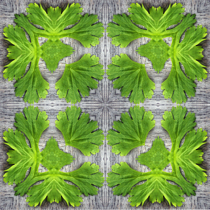 I Was Inspired By Symmetries, Various Combinations And Rhythmical Repeating Motifs.