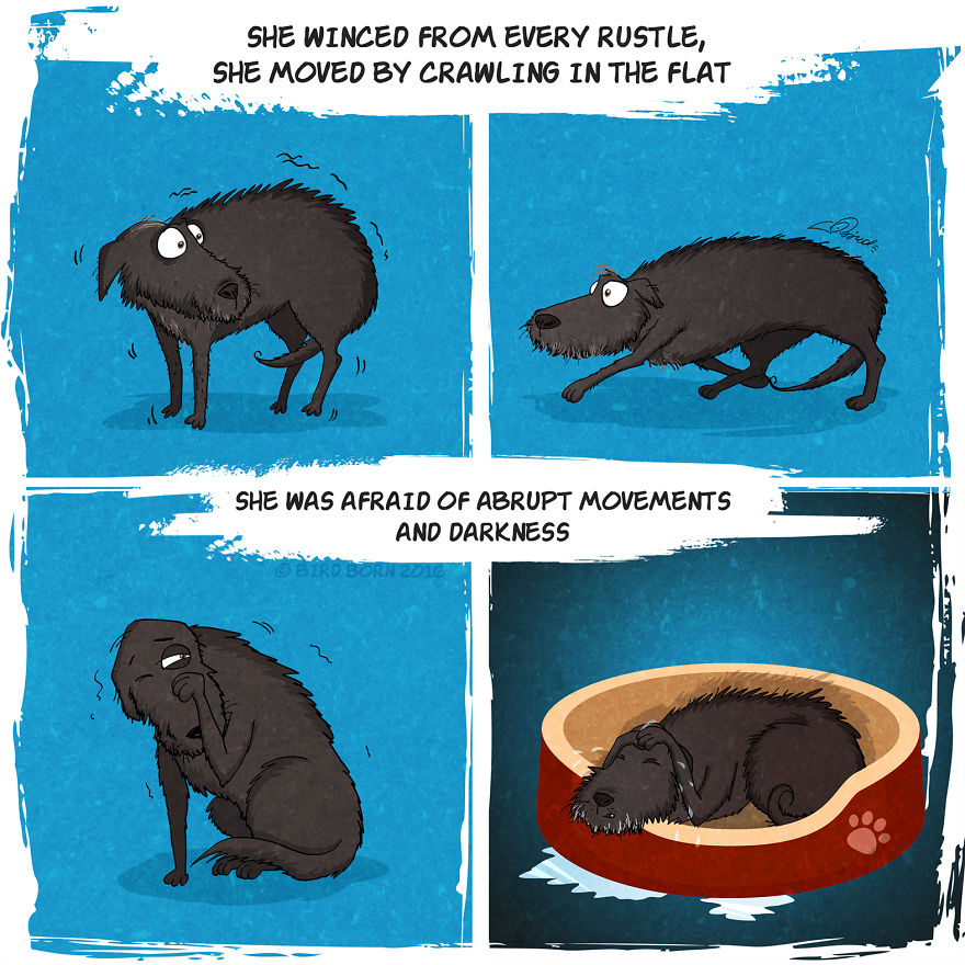 We’ve Taken A Dog From An Animal Shelter (Personal Experience) We’ve Taken A Dog From An Animal Shelter (Personal Experience)