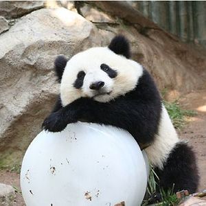 benjamin_leow avatar