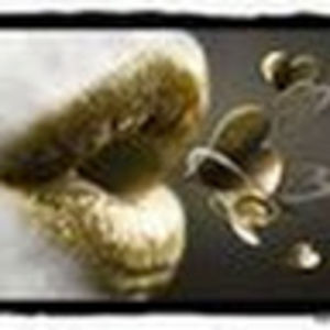 nienkecnossen avatar