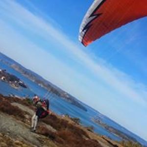 daniel_chindea avatar