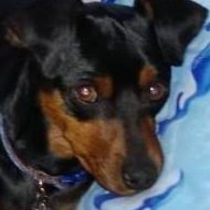 timothyfleury avatar