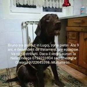 alina_muresan_1 avatar