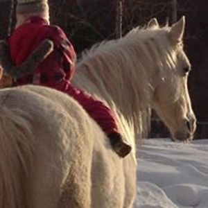 marymagdelina avatar