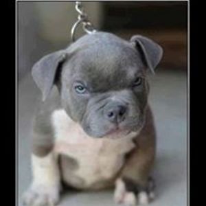 richardmcrae1 avatar