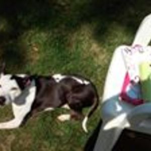 jazzjohnson1985 avatar