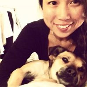 hansmaartenwikkerinkb2 avatar