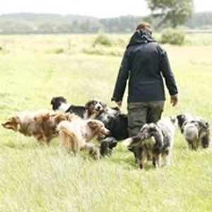 sunnycreek2008 avatar