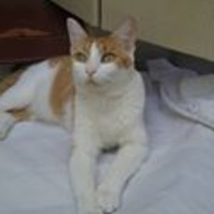 lauraceciliag939 avatar