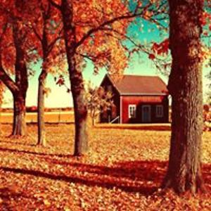 antimonynomoney avatar