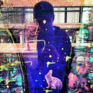 davidbradshaw avatar