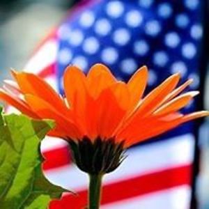 kitcat56honey_1 avatar