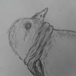 pavel_fred_eric avatar