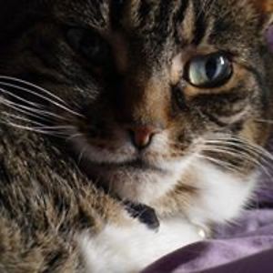 kate_viscardi avatar