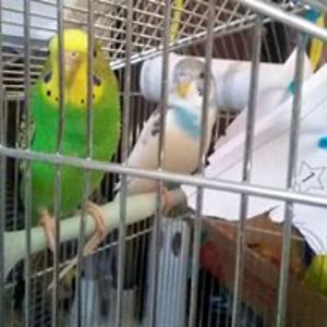 maria_bendel19 avatar