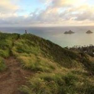 therin_miller avatar