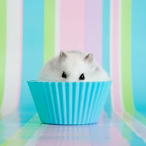 juliajamroziak avatar