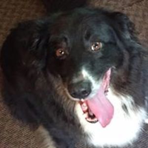 hannelore_ahearn avatar