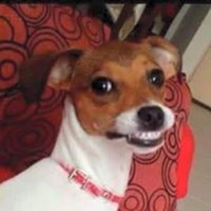 george_dark666 avatar