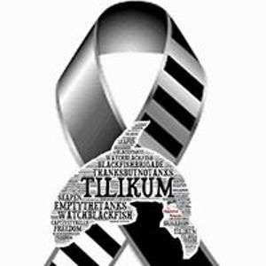 teresa_wagner avatar