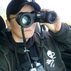 shepherdscent avatar